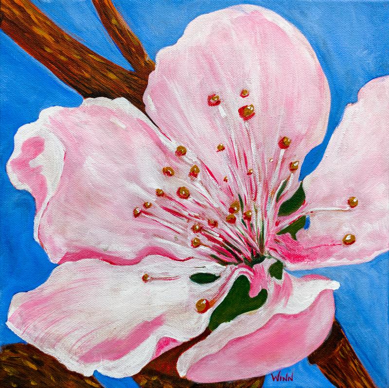 Spring blossom